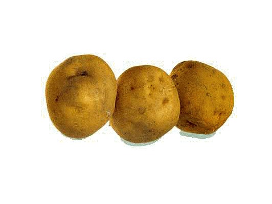 ���Ⴊ����